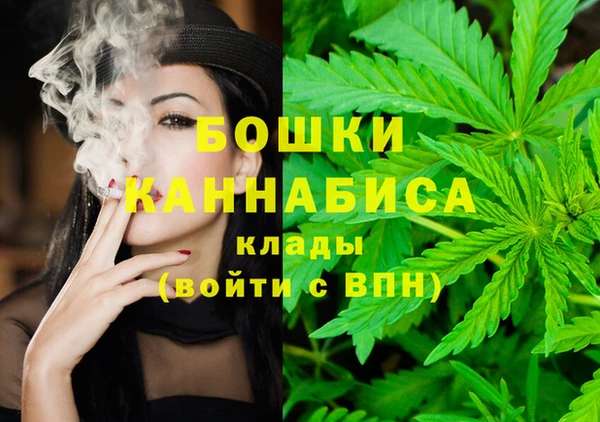 сатива Горно-Алтайск