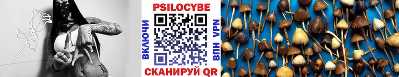OMG как зайти  купить наркотик  Щучье  Псилоцибиновые грибы MAGIC MUSHROOMS 