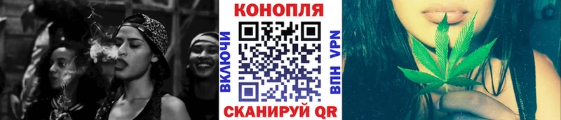 Бошки марихуана планчик Щучье